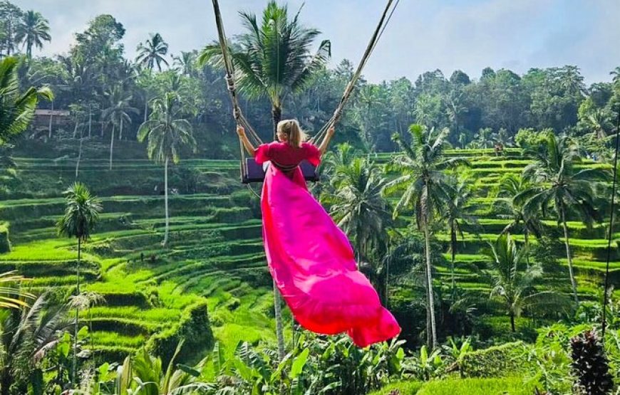 Ubud Tour