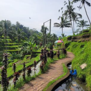 Ubud