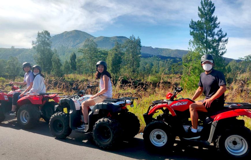 ATV Quard Bike Mount Batur