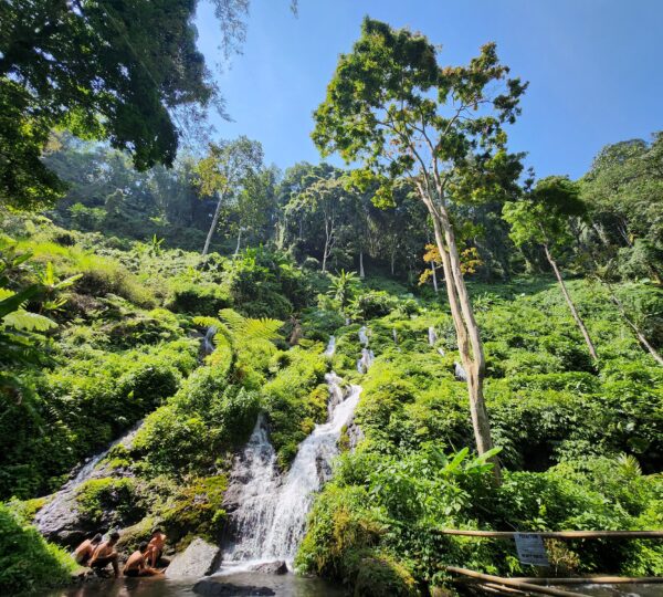 Waterfall in Kintamani Pelisan Bali